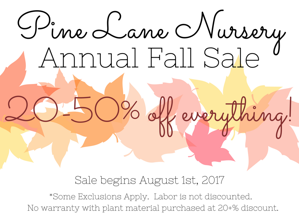 Pine Lane Nursery 2017 Fall Sale