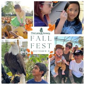Fall Fest 2026